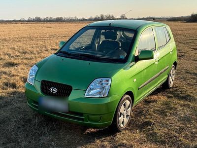 Gebraucht Kia Picanto LX 65 PS (47 kW) 2005 Grün Kleinwagen