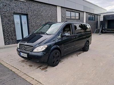 Mercedes Viano
