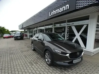 Gebraucht Mazda CX-30 Selection 150 PS (110 kW) 2020 Grau SUV