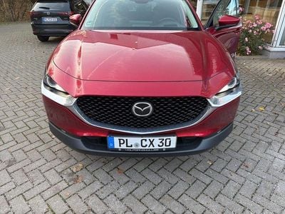 Gebraucht Mazda CX-30 Exclusive-Line 186 PS (136 kW) 2024 SUV