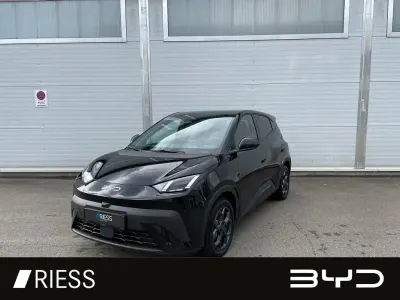 Gebraucht BYD Dolphin Surf