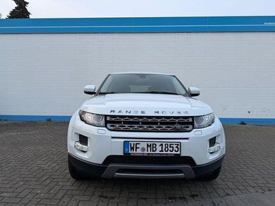 Gebraucht Land Rover Range Rover evoque Pure 150 PS (110 kW) 2013 Weiß SUV