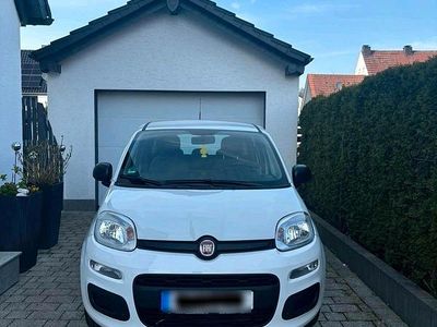 Gebraucht Fiat Panda 70 PS (51 kW) 2021 Weiß Kleinwagen