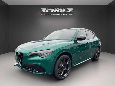 Neu Alfa Romeo Stelvio 209 PS (153 kW) 2025 Verde montreal, spezial  dach SUV