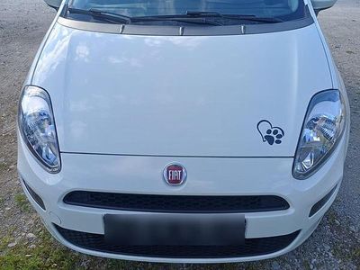 Gebraucht Fiat Punto 69 PS (50 kW) 2015 Weiß Kleinwagen