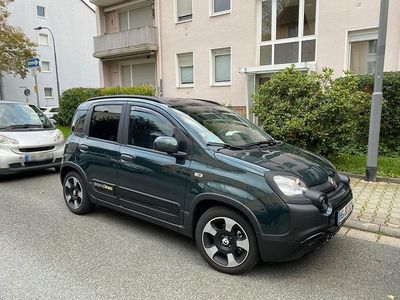 Gebraucht Fiat Panda Cross Cross 69 PS (50 kW) 2025 Grün Kleinwagen