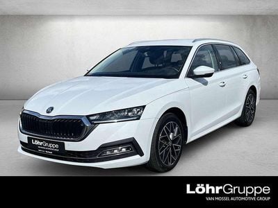Gebraucht Skoda Octavia Style 150 PS (110 kW) 2024 Moonweiss metallic Kombi