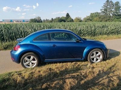 VW Beetle