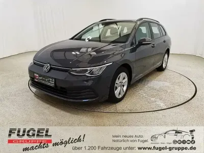 Brugt VW Golf VIII Life 110 HK (80 kW) 2022 Grå Stationcar
