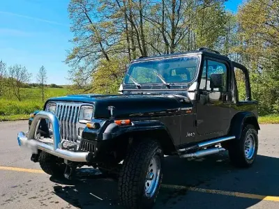Gebraucht Jeep Wrangler 185 PS (136 kW) 1994 Schwarz SUV