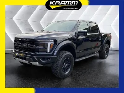 Gebraucht Ford F-150
