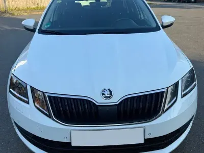 Gebraucht Skoda Octavia Clever 116 PS (85 kW) 2018 Weiß Kombi
