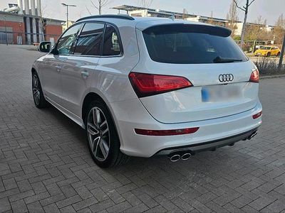 Gebraucht Audi SQ5 Design 313 PS (230 kW) 2014 Weiß SUV