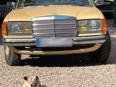 Gebraucht Mercedes 300 84 PS (61 kW) 1983 Gelb Limousine
