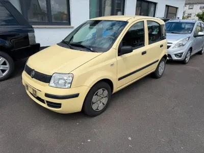 Gebraucht Fiat Panda Active 54 PS (39 kW) 2009 Mambo gelb Kleinwagen