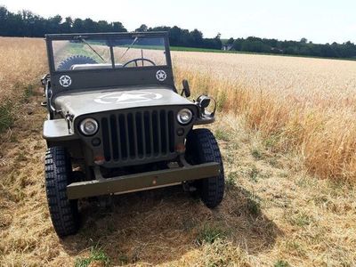 gebraucht Jeep Willys 