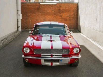 gebraucht Ford Mustang 1966 V8 GT350 Shelby Tribute