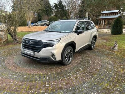 Neu Subaru Forester Active 136 PS (100 kW) 2025 Gold SUV