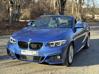 Blau Gebraucht 2018 BMW 218 M Sport Cabrio | 20.900 € (Fairer Preis)