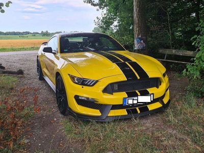 gebraucht Ford Mustang GT Shelby 350