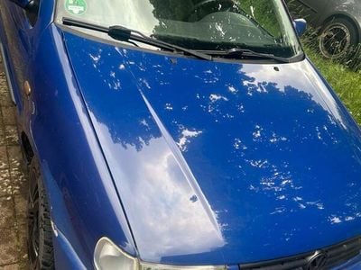 VW Polo