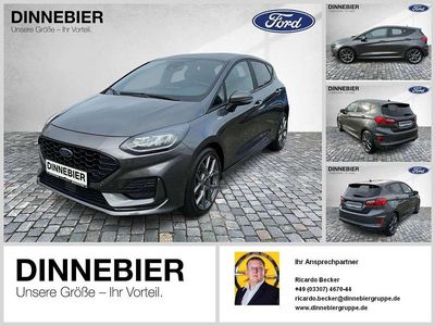 Gebraucht Ford Fiesta ST-Line 101 PS (74 kW) 2023 Magnetic grau met Kleinwagen