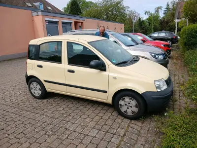 Gebraucht Fiat Panda 60 PS (44 kW) 2009 Gelb Kleinwagen