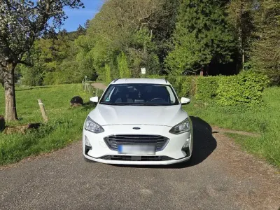 Gebraucht Ford Focus Titanium 150 PS (110 kW) 2019 Weiß Limousine