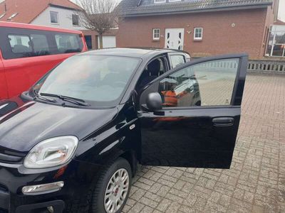 gebraucht Fiat Panda Easy schwarz 2017