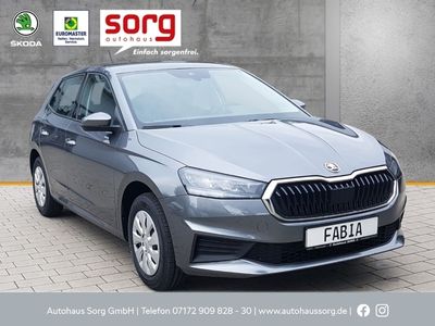 gebraucht Skoda Fabia 1.0 EU6d Active 1,0 MPI 48 kW 5-Gang mech. LED Sperrdiff. Apple CarPlay Android Auto