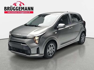 Neu Kia Picanto Vision 68 PS (50 kW) 2025 Astrograu metallic Kleinwagen