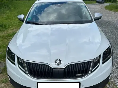 Gebraucht Skoda Octavia Scout Scout 4x4 184 PS (135 kW) 2017 Weiß Kombi