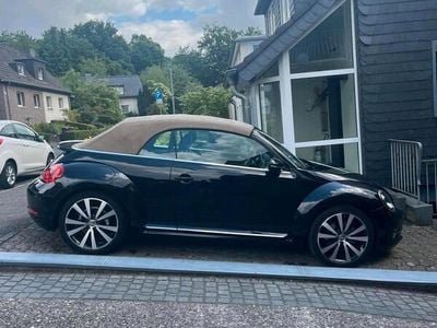 VW Beetle