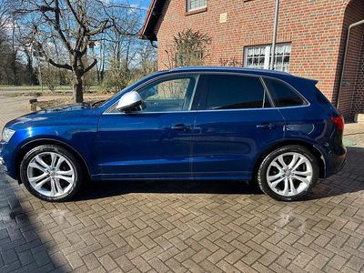 Usata Audi SQ5 360 CV (264 kW) 2014 Blu SUV