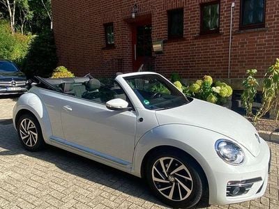 VW Beetle