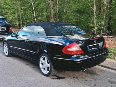 Brugt Mercedes CLK200 163 HK (119 kW) 2006 Sort Cabriolet