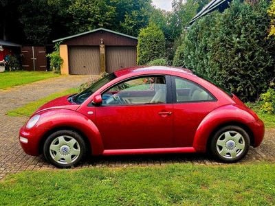 VW Beetle
