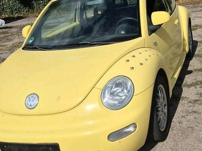 VW Beetle