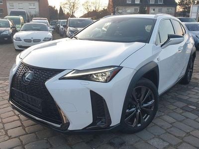 Gebraucht Lexus UX 250h Sport Line 184 PS (135 kW) 2021 Weiß SUV