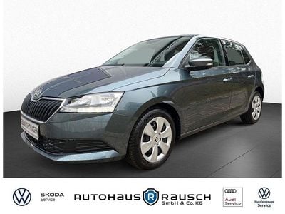 Gebraucht Skoda Fabia Ambition 60 PS (44 kW) 2021 Grau Limousine