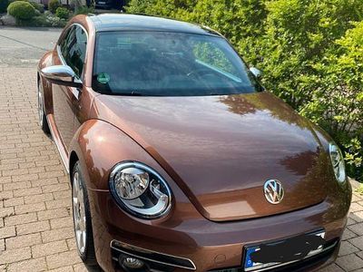 VW Beetle