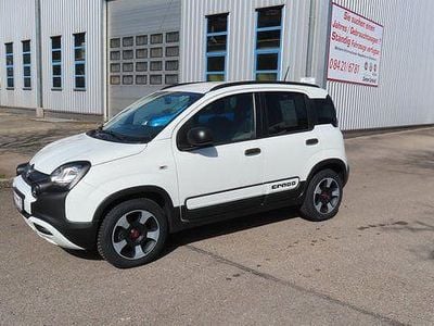 Gebraucht Fiat Panda Cross Cross Plus 69 PS (50 kW) 2021 Weiß Kleinwagen