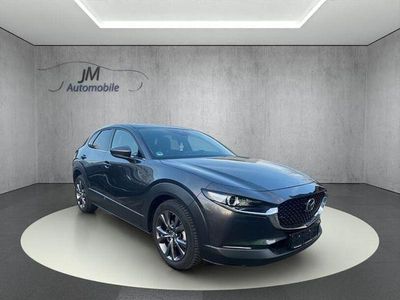 Gebraucht Mazda CX-30 Selection 180 PS (132 kW) 2021 Grau SUV
