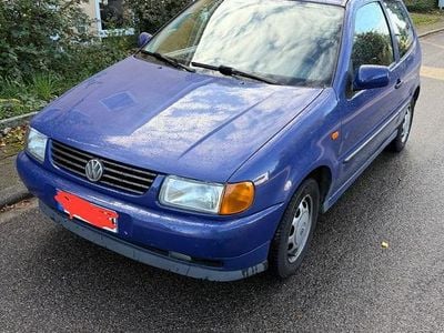 VW Polo