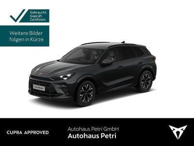 Gebraucht Cupra Terramar 204 PS (150 kW) 2025 Timanfayagrau SUV