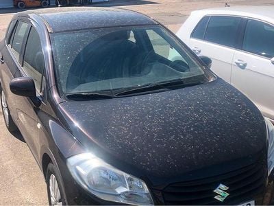 Second-hand Suzuki SX4 120 CP (88 kW) 2015 Maro Hatchback