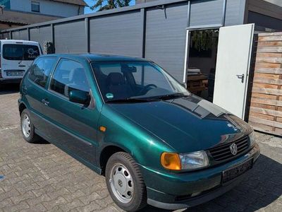 VW Polo