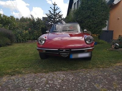 Gebraucht Alfa Romeo Spider Veloce 126 PS (92 kW) 1980 Rot Cabrio