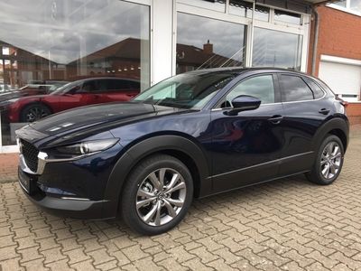Gebraucht Mazda CX-30 Selection 122 PS (89 kW) 2020 Blau SUV