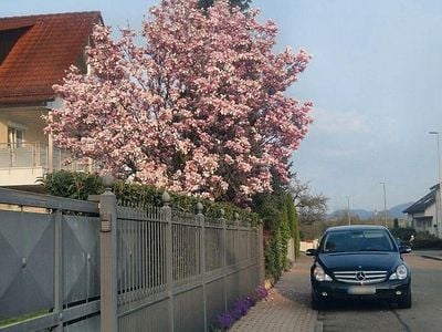 Gebraucht Mercedes R320 224 PS (164 kW) 2006 Schwarz Van / Kleinbus